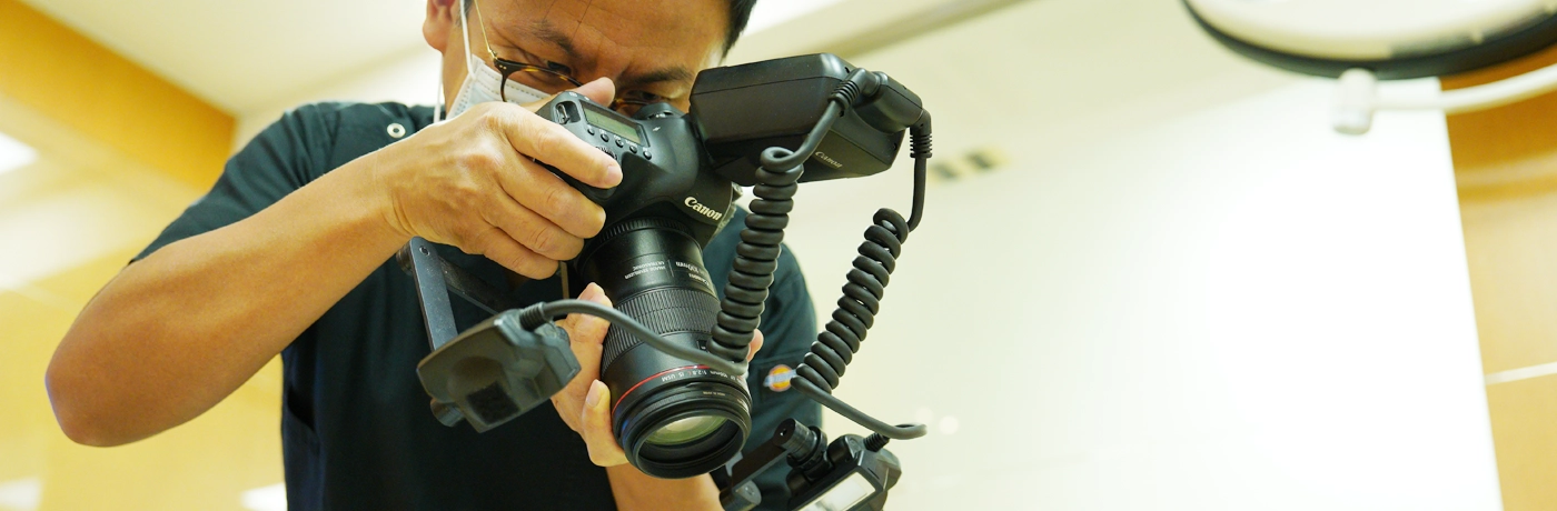 歯科ドッグの特徴